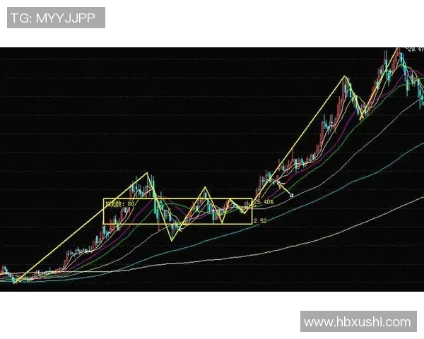 基于老鹰进攻体系的战术创新与实战应用研究