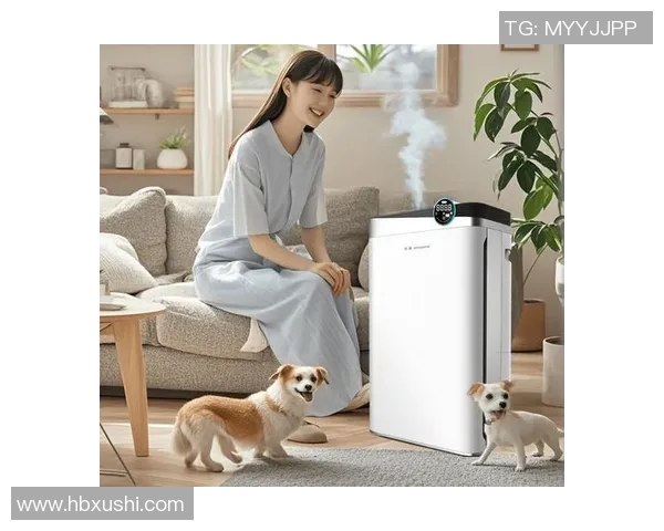空气净化器的选购指南与使用技巧,打造健康清新室内环境的必备工具 空气净化器的选购指南与使用技巧,打造健康清新室内环境的必备工具